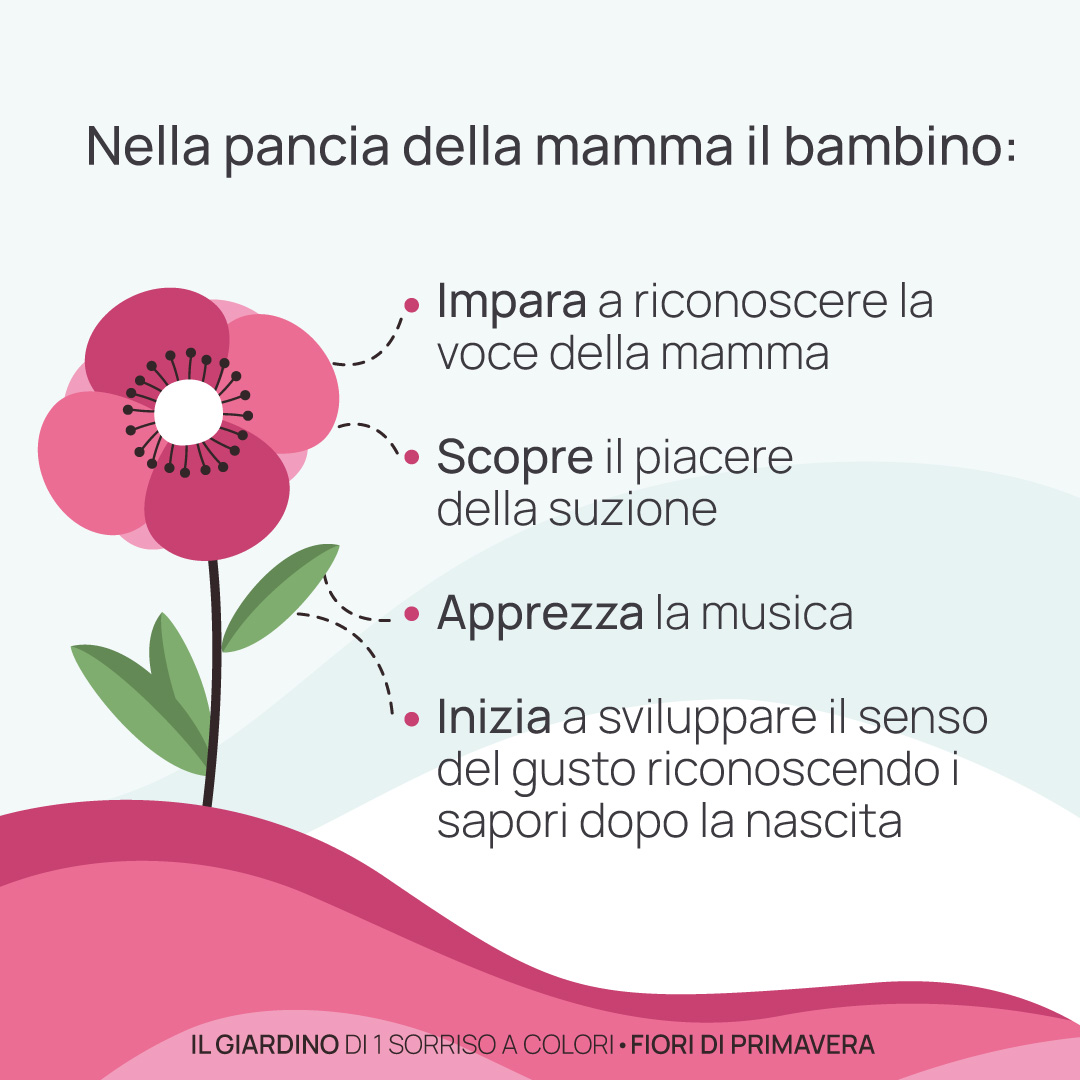 pancia della mamma img